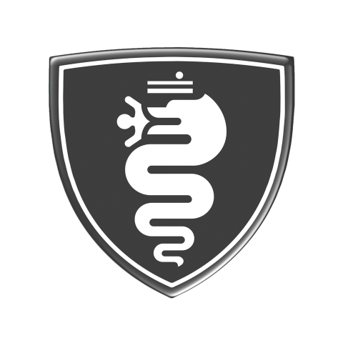 Alfa Romeo Emblem Silicone Sticker Domed Dark Grey and White Logo