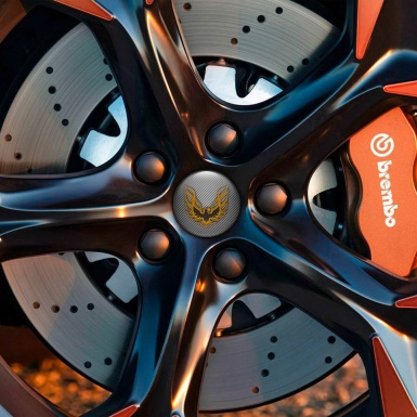 Pontiac Silicone Stickers Wheel Center Cap Carbon