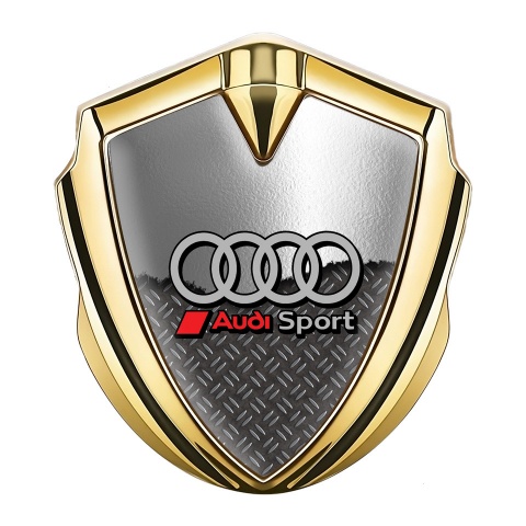Audi Bodyside Emblem Badge Gold Torn Sheet Grey Sport Rings