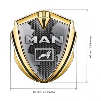 MAN Bodyside Domed Emblem Gold Torn Metal Grey Hex Texture Design