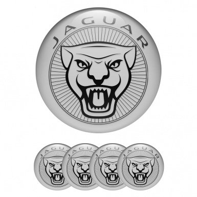 Jaguar Stickers for Wheels Center Caps Grey Background Outline Logo