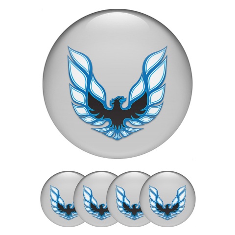 Pontiac Wheel Emblem for Center Caps Grey Fill Blue Firebird Edition