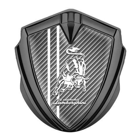 Lamborghini Domed Badge Graphite Light Carbon Fiber Black Sport Stripes