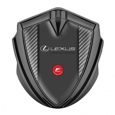 Lexus Emblem Metal Badge Graphite Light Carbon Fiber F Sport Edition
