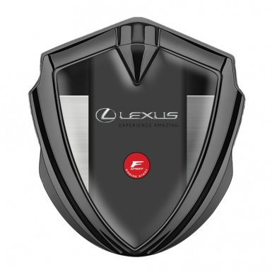 Lexus Silicon Emblem Graphite Brushed Steel Panel F Sport Logo Design