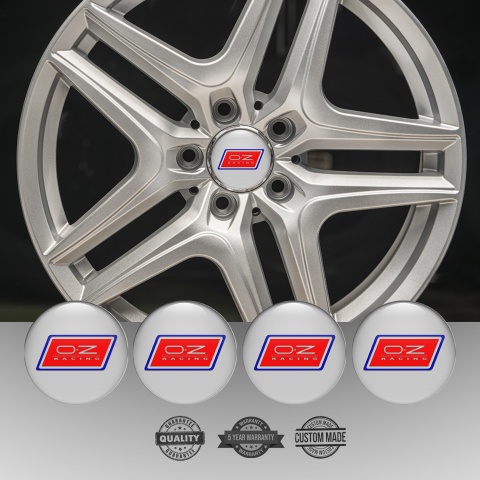 OZ Wheel Emblem for Center Caps Grey Base Blue Red Racing Logo