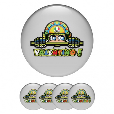 Valentino Rossi Wheel Stickers for Center Caps Gray with multicolor logo