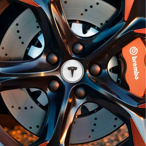 Tesla Wheel Stickers for Center Cap 3D Ring