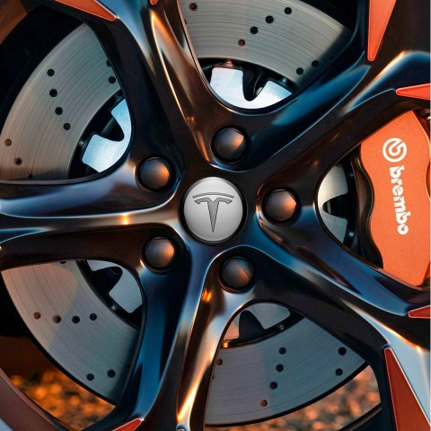 Tesla Wheel Emblems Center Cap 3D Grey