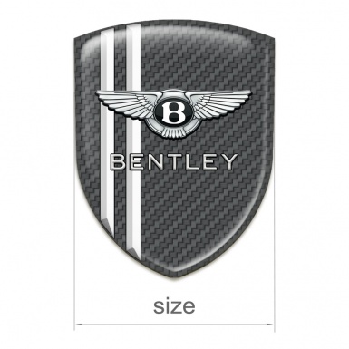 Bentley Logo Emblem Stylish Carbon with White Lines Version 