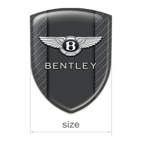 Bentley Tuning Emblem High End Carbon Version 