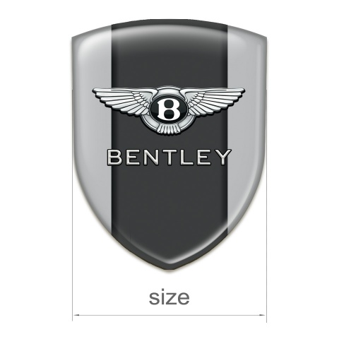 Bentley Tuning Badge Stylish Gray Variant 