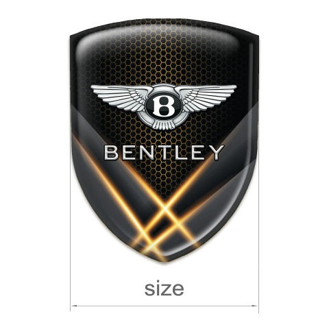 Bentley Emblem Exterior Stylish Orange lights Design 