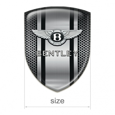 Bentley Car Interior Badge Perforated Metal Design 