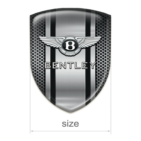Bentley Car Interior Badge Perforated Metal Design 