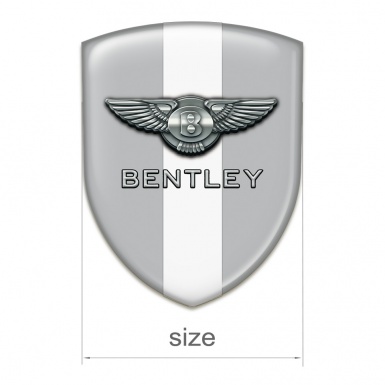 Bentley Emblem Exterior Stylish Gray with White Tape Decoration 