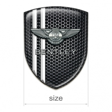 Bentley Emblem Exterior Perforated Steel with White Stripes Variant 