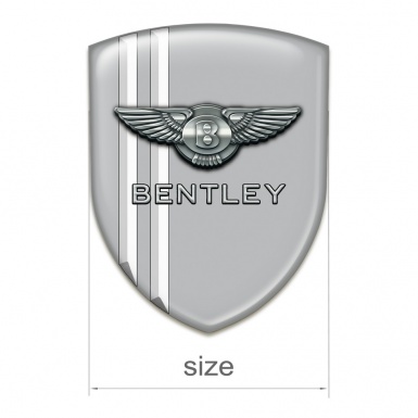 Bentley Domed Emblem Gray with White Lines Model 