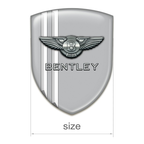 Bentley Domed Emblem Gray with White Lines Model 