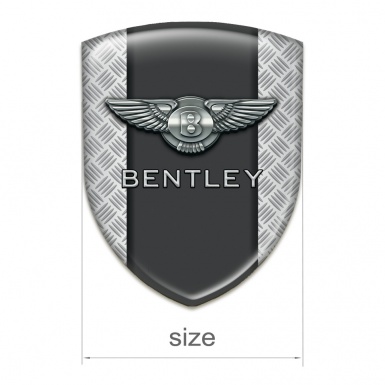 Bentley Car Accessories Badge Mesh Effect with Graphite Central Panel 