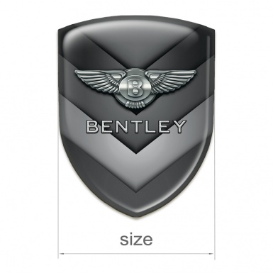 Bentley Emblem Interior Gray V Form Details Design 