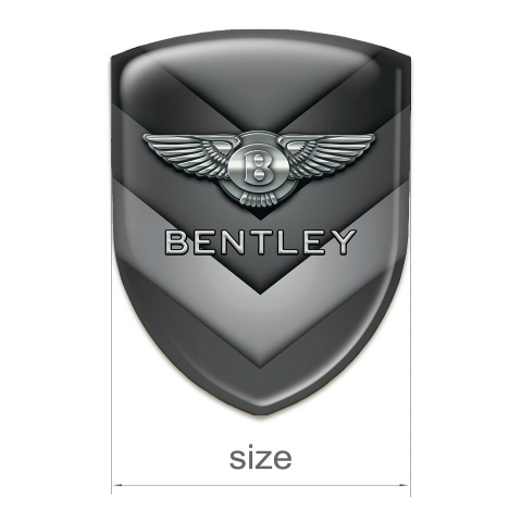 Bentley Emblem Interior Gray V Form Details Design 