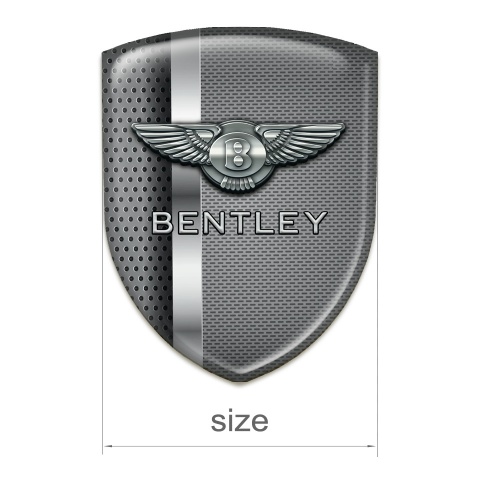Bentley Car Interior Badge Mixed Metal Texture Design 