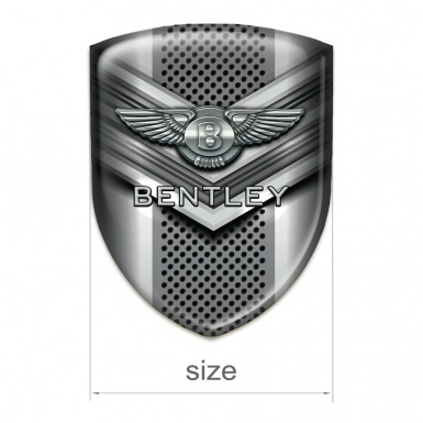 Bentley Car Accessories Badge Metal V Shaped Element Design 