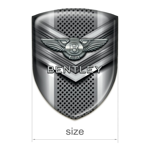 Bentley Car Accessories Badge Metal V Shaped Element Design 