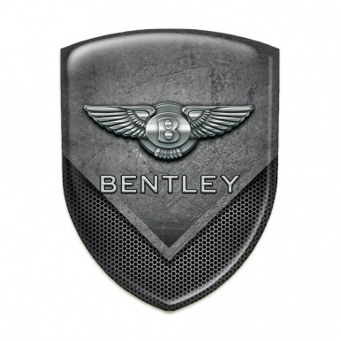 Bentley Car Interior Badge Scratched Stone with Perforated Metal Mixed