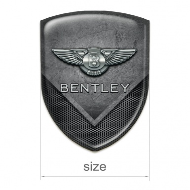 Bentley Car Interior Badge Scratched Stone with Perforated Metal Mixed