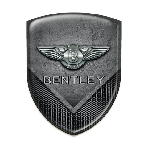 Bentley Car Interior Badge Scratched Stone with Perforated Metal Mixed