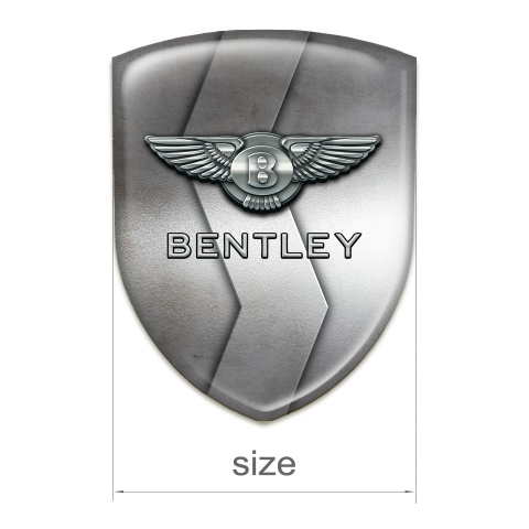 Bentley Logo Emblem Stylish Metal S Shaped Design 
