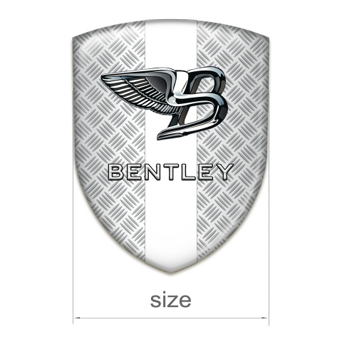 Bentley Car Interior Badge Mesh Effect with White Band Style 