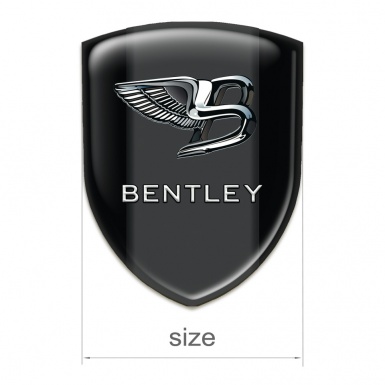 Bentley Car Interior Badge Black Background Nikel Logo 
