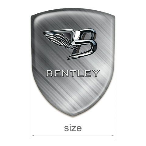 Bentley Logo Emblem Pattern Polished Metal Effect 