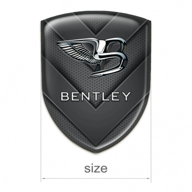 Bentley Tuning Emblem V Shaped Details Pattern 