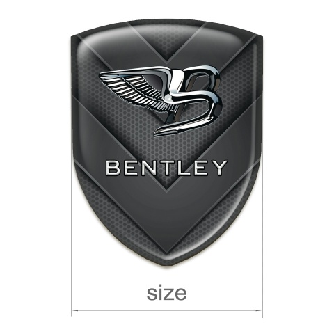 Bentley Tuning Emblem V Shaped Details Pattern 