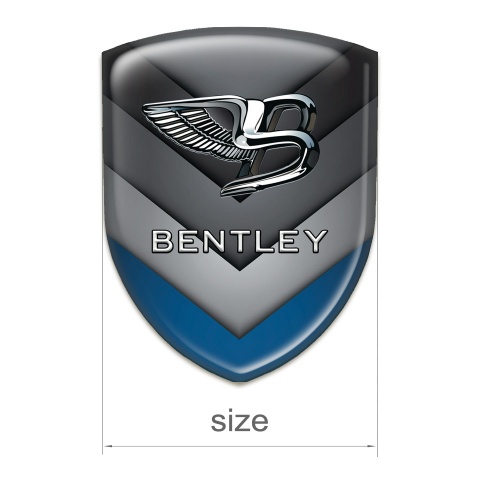 Bentley Emblem Exterior Gray Blue V Shaped Elements 