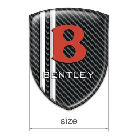 Bentley Emblem Interior Black Carbon White Lines Model 