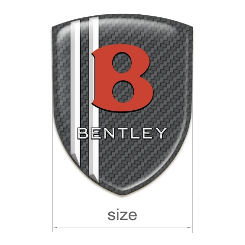 Bentley Silicone Badge Carbon White Lines Model 