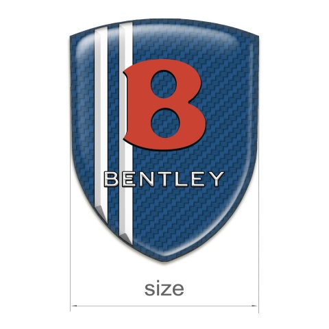 Bentley Silicone Shield Navy Blue Carbon White Lines Model 