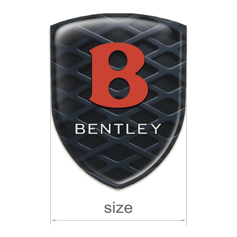Bentley Emblem Interior 3D dark Grid design 
