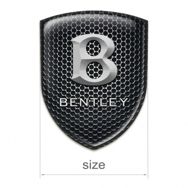 Bentley Auto Emblem Perforated Steel Print Stone Logo 