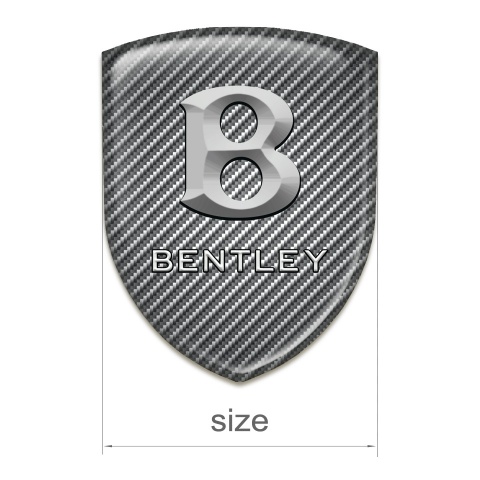 Bentley Emblem Exterior Gray carbon Print Stone Logo 