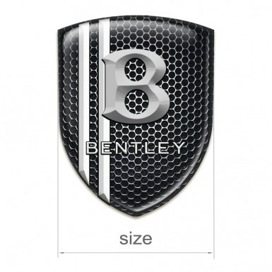 Bentley Emblem Exterior Perforated Steel with Two White Lines Design 