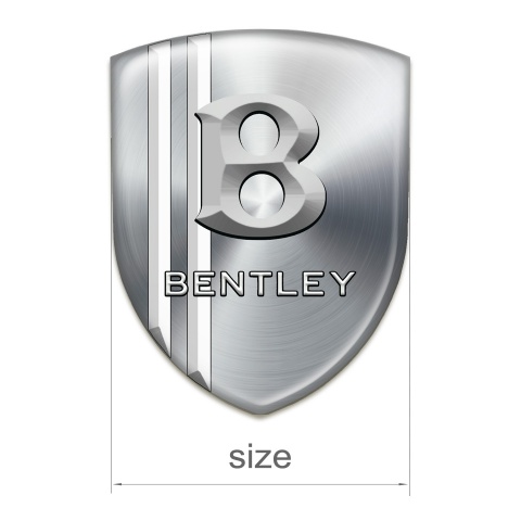 Bentley Emblem Interior Silver with White Lines Version 