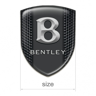 Bentley Car Accessories Badge Perforated Steel with 3D Logo 