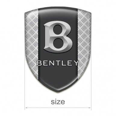 Bentley Auto Emblem Mesh Effect with Graphite Panel Design 