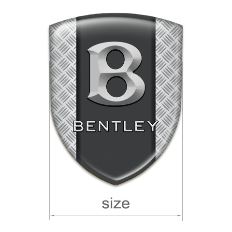 Bentley Auto Emblem Mesh Effect with Graphite Panel Design 